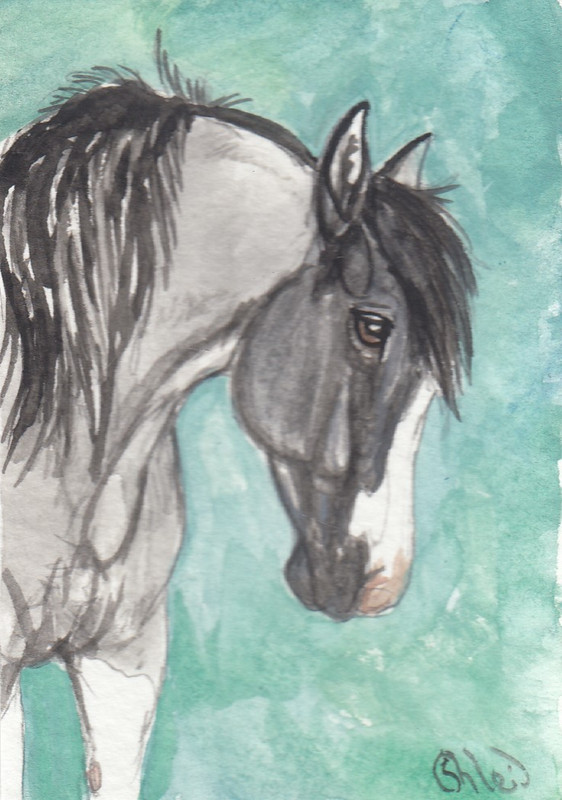 ACEO original Watercolor Art Card HORSE blue roan splash pinto PONY mare