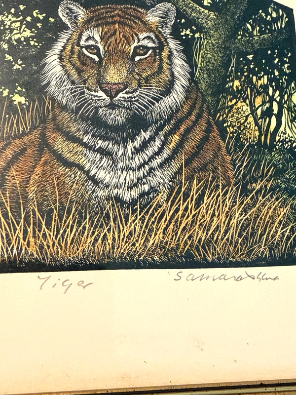 Rama Samaraweera Signed Tiger Print Limited Edition 37/300 In Frame 7.5"x9.5" gallery