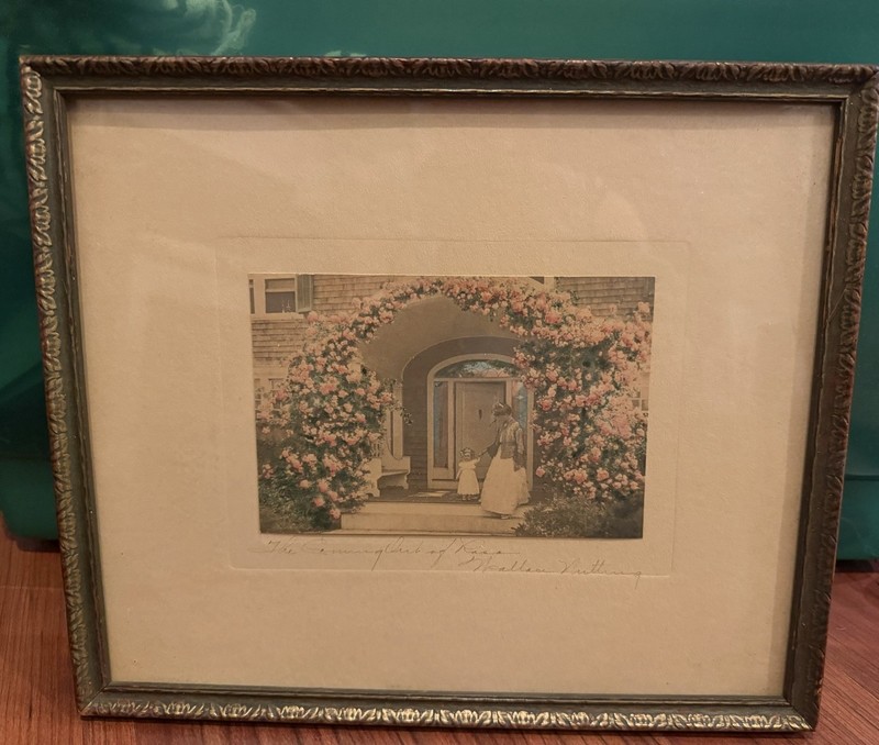 Wallace Nutting – The Coming Out Of Rosa