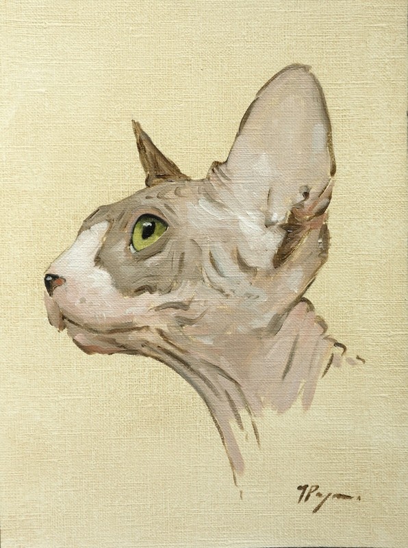 Original art – Oil painting of a sphynx cat – portrait by uk artist j payne