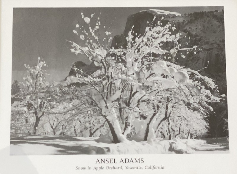 Ansel Adams Snow in Apple Orchard Yosemite California Framed Print 9"x11" gallery