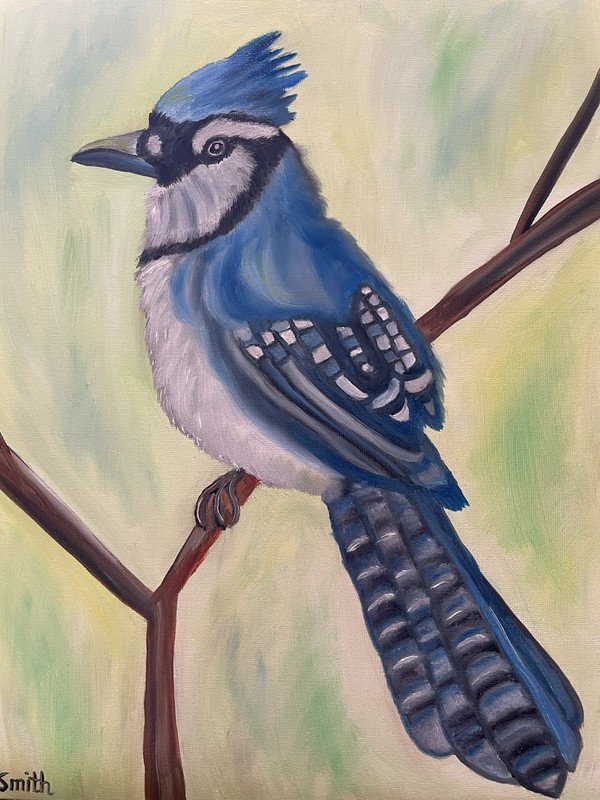 Original oil painting 11 x 14 inches gorgeous colorful blue jay bird gallery