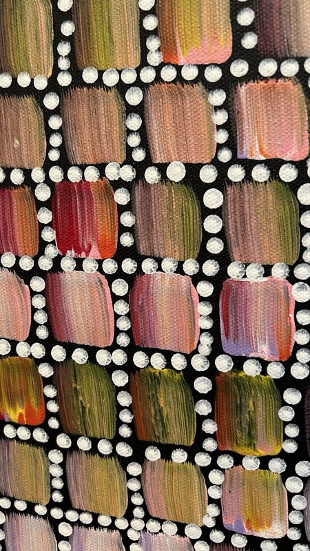 Bernadine Kemarre Johnson Aboriginal Art Paintings Set Of 2 Bush Medicine Trees gallery