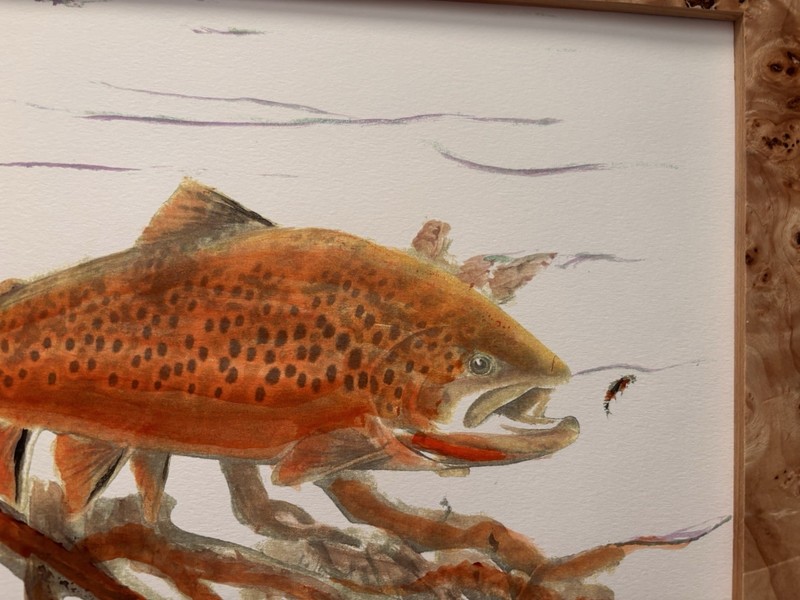Trout Brown Trout Fly Fishing Watercolor Print Art Painting Signed by Artist
