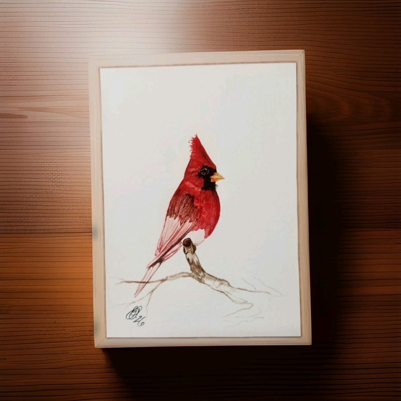 Cardinal Watercolor. gallery