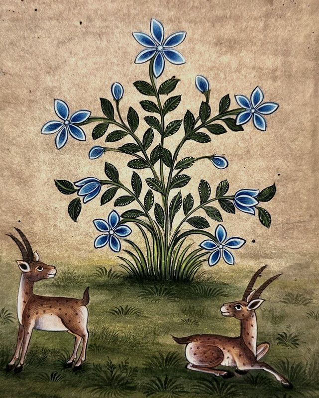 Tranquil Harmony - Flower and Deer Animal Handmade Painting on antique Paper gallery