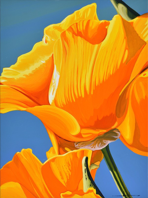 Alex Nizovsky — CALIFORNIAN POPPY #3 — Modern / Pop Art Floral Painting 18″x24″