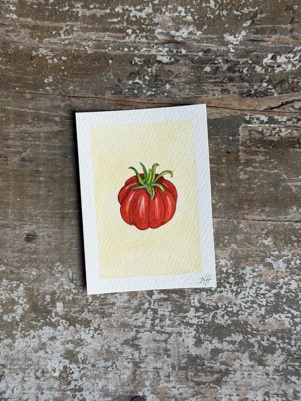 ACEO Original Vegetable Series 4of4 Tomato Watercolor 2.5×3.5” Magdalina Studio