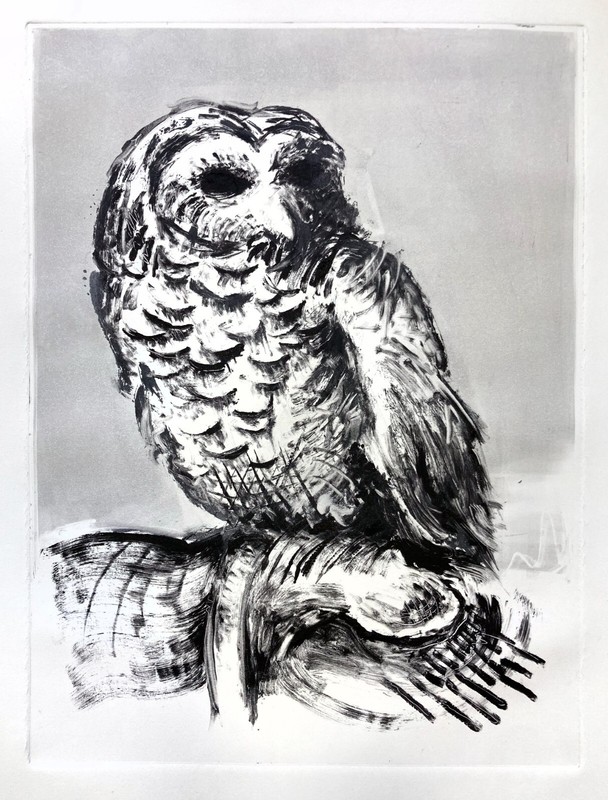 Original monotype print / owl / printmaking / signed print / 20″x15″