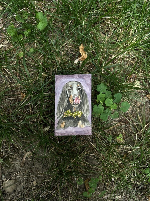 Custom Pet Portrait - Watercolor 4x6 FREE SHIPPING gallery