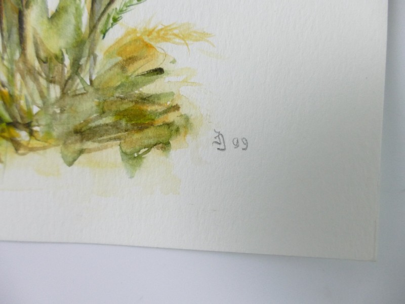 Ingeborg Jakob Wilhelmshaven Watercolour Hand Signed Dated 13x18.5cm To-5020 gallery