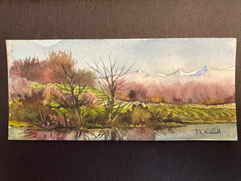 Pamela Wilhelm 2.5”x6” original Watercolor Mounted On 5”x7”valley Vinyard