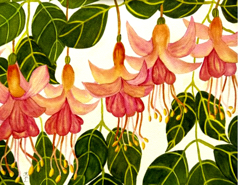 PAINTING WATERCOLOR ORIGINAL ART FUCHSIA FLOWER PINK ORANGE RED 11X14 MAT 16X20