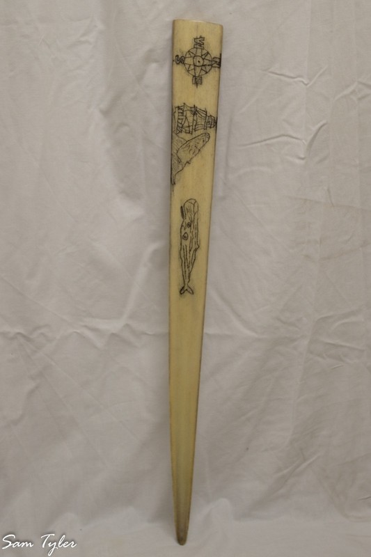 Art Schrimshawed Swordfish Bill {Compass Rose,Sailing Ship W/ Whale,Sperm Whale}