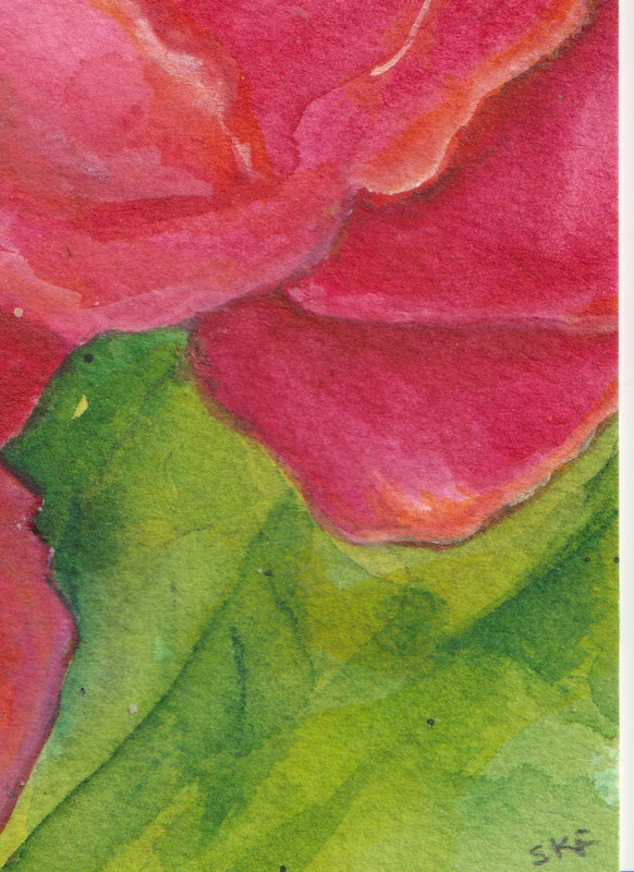 Original ACEO Red Peony Watercolor Painting by Sharon Foster – Flower