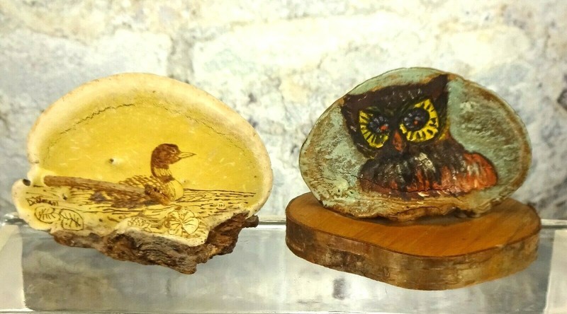2 Vintage Hand Painted Tree Fungus Conk Shelf Mushrooms Folk Art Duck & Owl