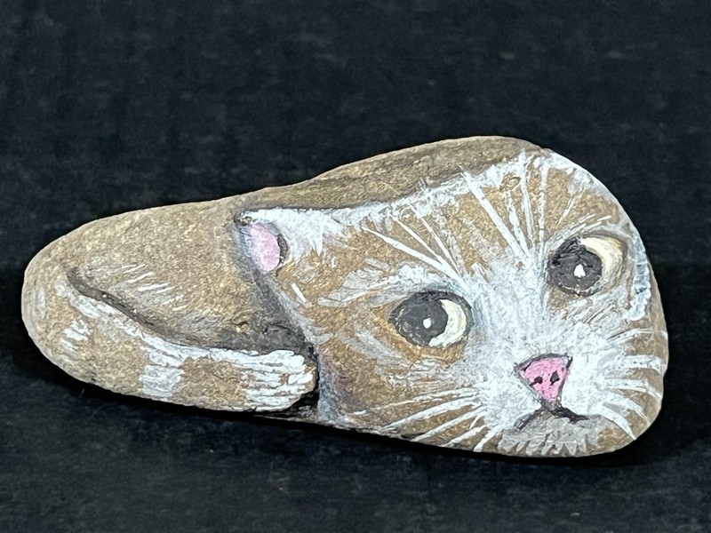 Hand Painted Brown And White Cat River Rock Stone Art Paperweight Sculpture