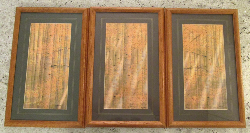 David Kreider Triptych «Autumn Gold» Mixed Media Painting – Oak Frames