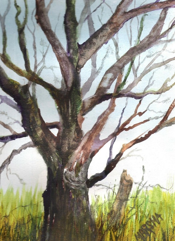 PANDEMIC PRICE ART WATERCOLOR TREE FROM THE PAST NATURE GREEN LANDSCAPE BROWN
