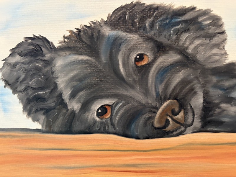 Original oil painting 11 x 14 inches black poodle dog