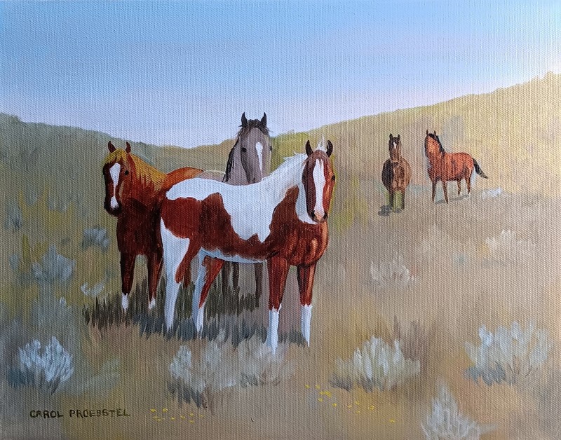 Original oil painting wildlife mustangs western horses spring Carol Proebstel