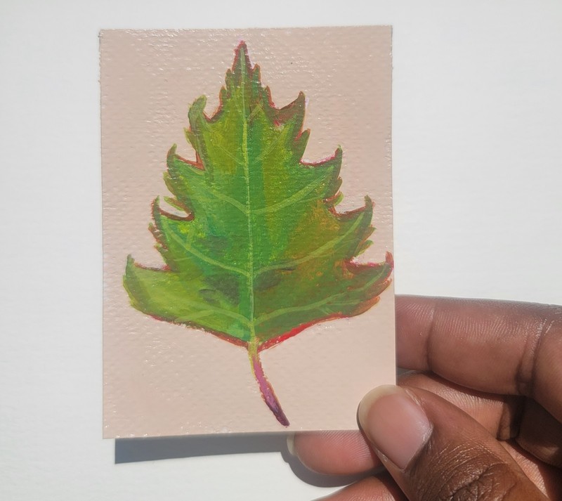ACEO Original Abstract Silver Birch Tree Leaf Mini Art Painting Nature gallery