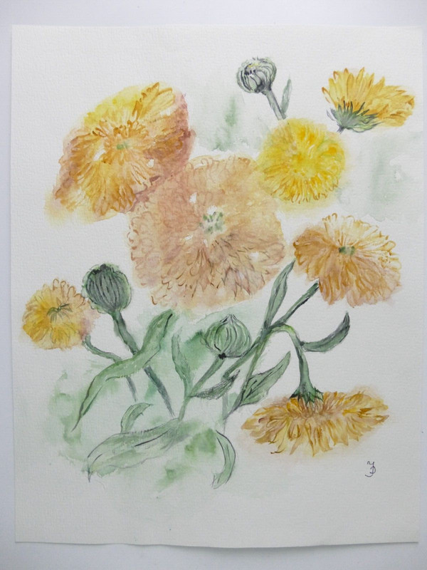 Ingeborg Jakob Wilhelmshaven Watercolour Signed Undated 24x32cm To-5152