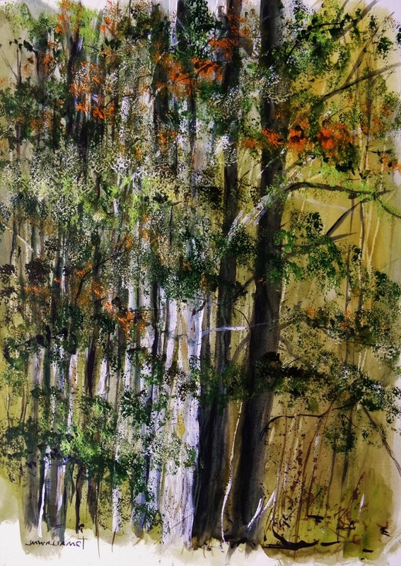 Deep Woods