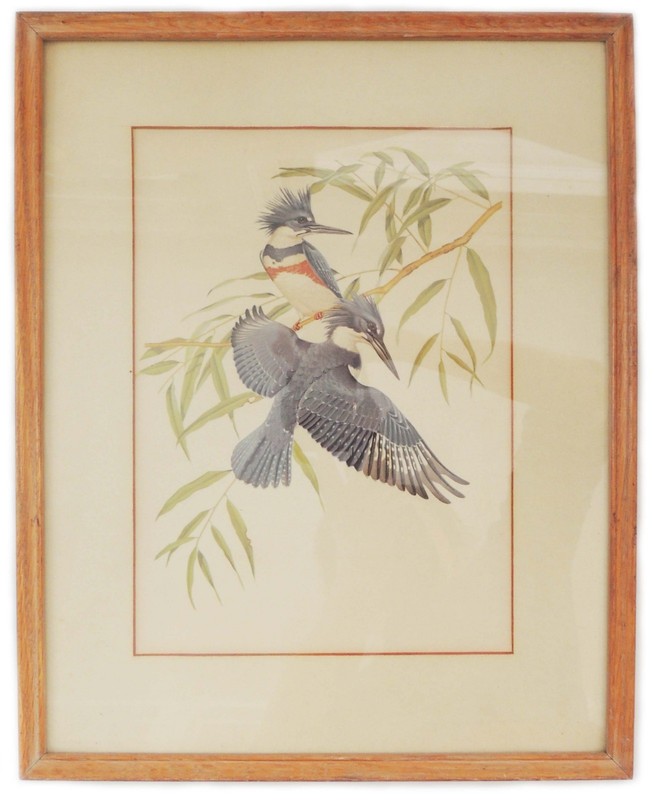 Vintage Kingfishers Birds Hand Painting Art Print Wood Framed and Matted w Glass