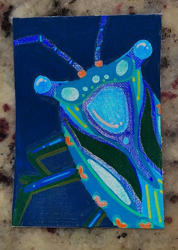 ACEO Original Stinkbug Insect Bug Stylized Acrylic Art Cards Glow in Dark Nova