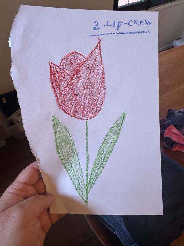 Valuable Art — Tulip