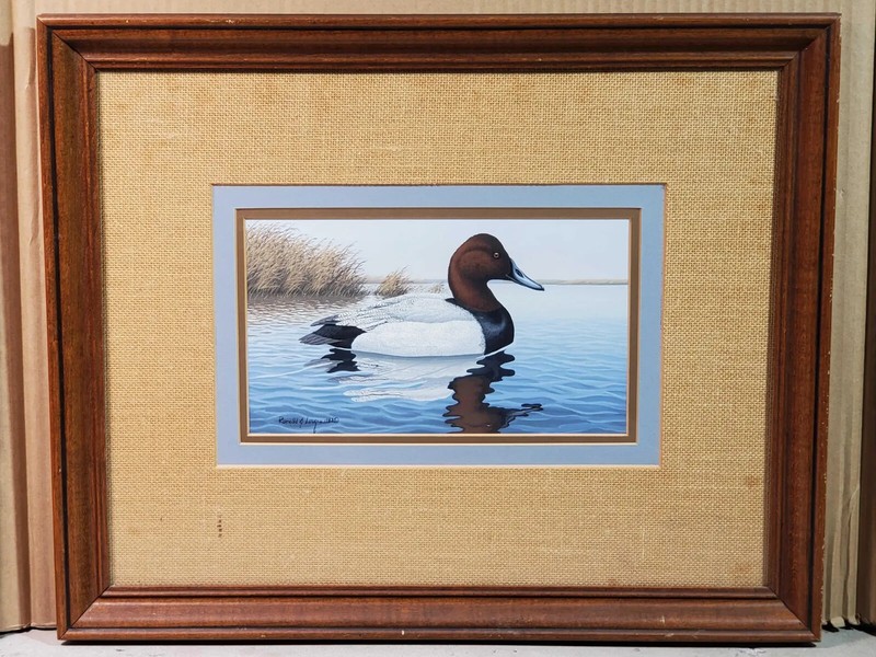 Early 1983 Ronald J. Louque Gouache Painting Canvas Back Drake Duck Stamp Winner