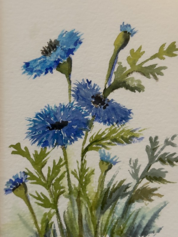 Set of Watercolor Paintings Pink Dahlias Blue Cornflowers Framed Signed 12x9.5” gallery