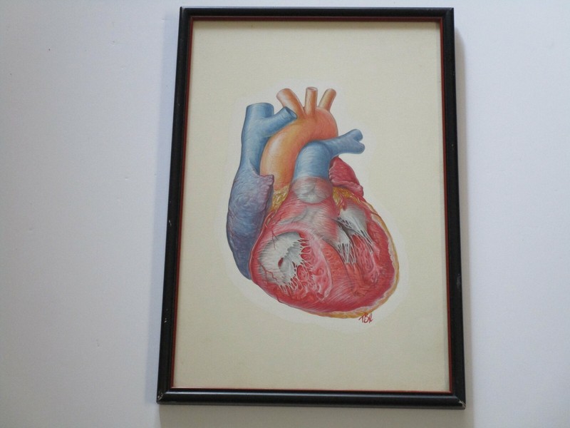 TED BLOODHART PAINTING POP ART HUMAN SCIENCE MEDICAL SURGICAL REALISM HEART OLD gallery