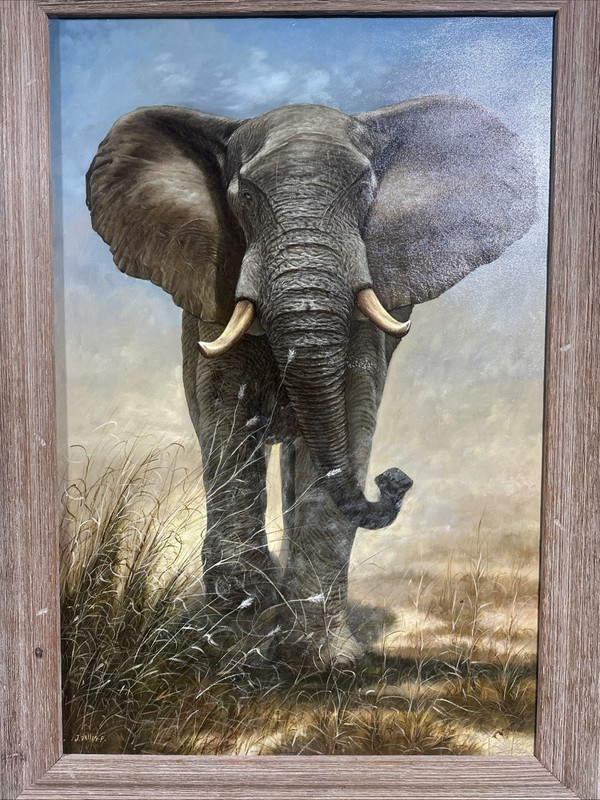 African Elephant Painting. Oil On Canvas. Reasonable offers will be considered