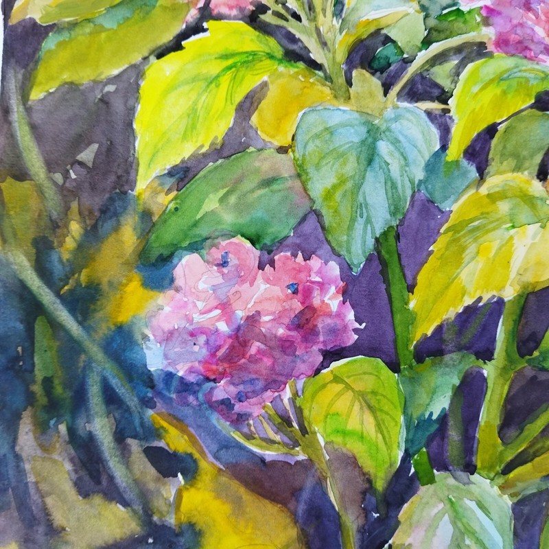 Hydrangeas Flowers Watercolor Painting Original Floral Art Spring Flowers gallery