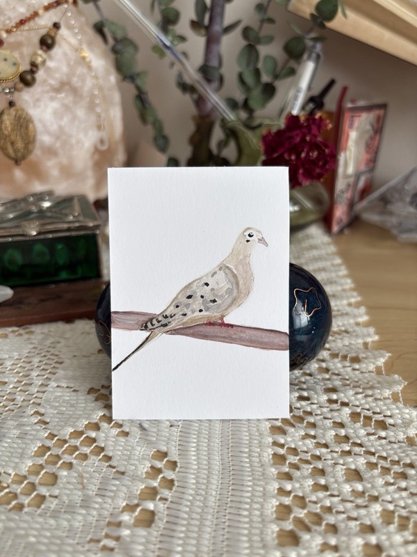 ACEO Original Mourning Dove Watercolor MAILARTMAGIC