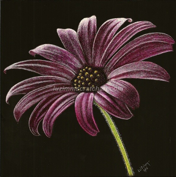Scratch Art Ampersand Pro Board Original 8″x8″ Signed Purple Daisy