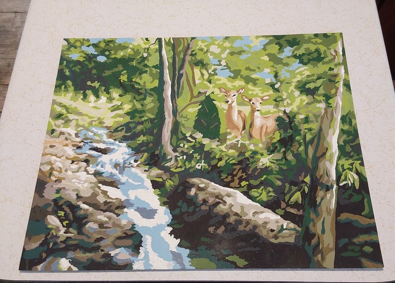 PAINT By Number COMPLETE «FAWNS IN THE FOREST» 20 x 16 Painting 2012