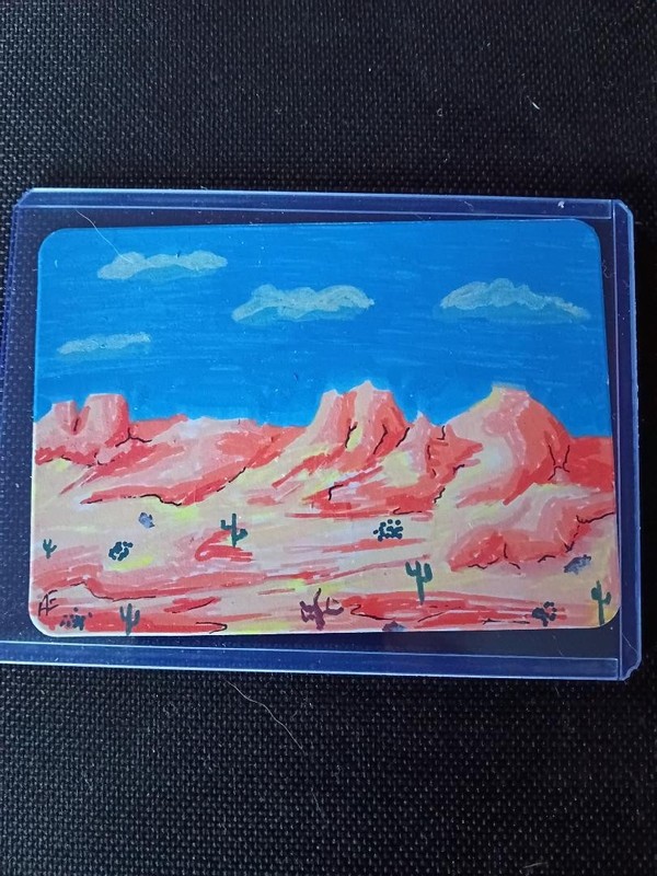 Original art work by new artist. One of a kind painting . Painted Desert