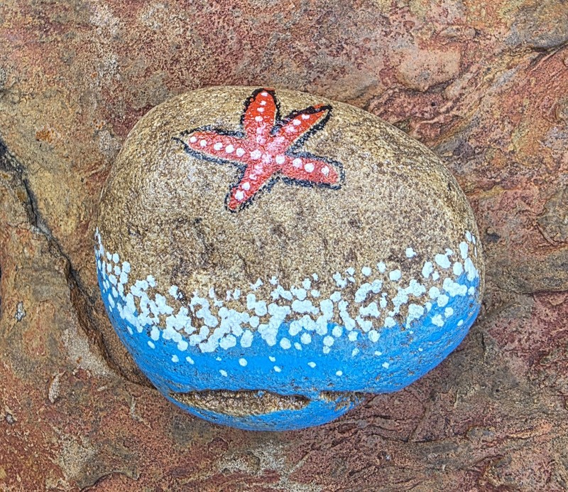 Hand Painted Kindness original Rock flowers paper weight Painting Art Gift