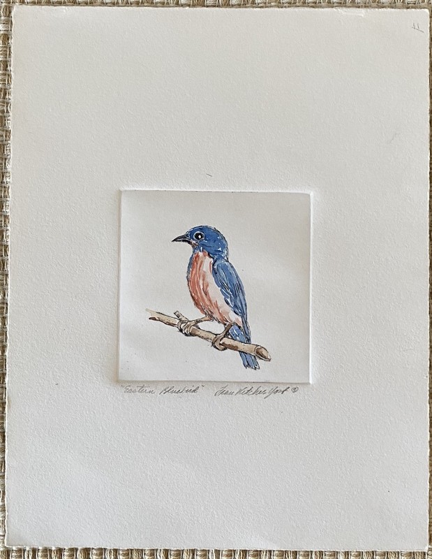 Original Eastern Bluebird Bird Watercolor Painting Fran Ritchie Yost