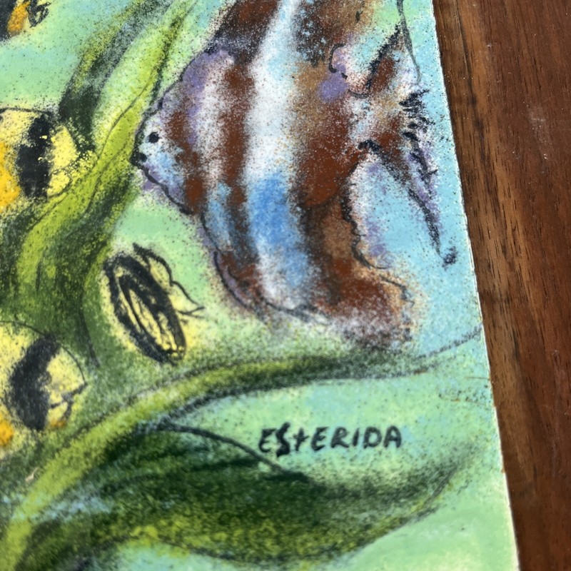 Esterida Signed~Enamel On Copper On Wood Plaque Underwater Fish Scene gallery