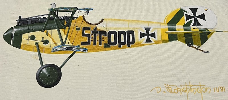 German WWI Aircraft Original Painting on Canvas Albatros D.V Profiles gallery