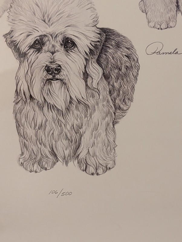 Pamela Powers Print, signed/numbered/Terrier Group/Bedlington, Bul RARE #106/500 gallery