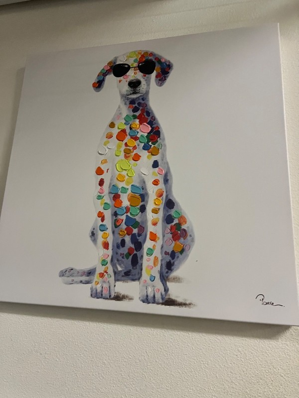 Sunglass Dog In A Confetti Coat ( size: length 34 , width: 34 inches )