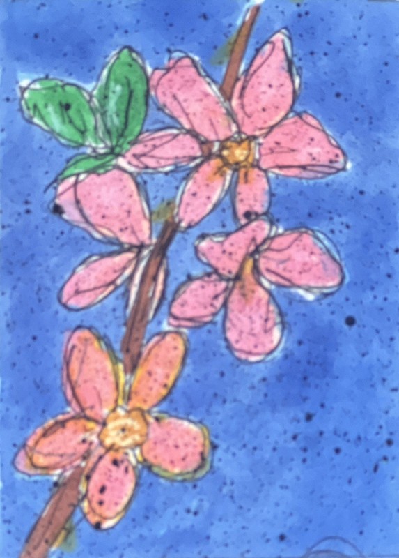 Delaware State Flower – Peach Blossom ACEO