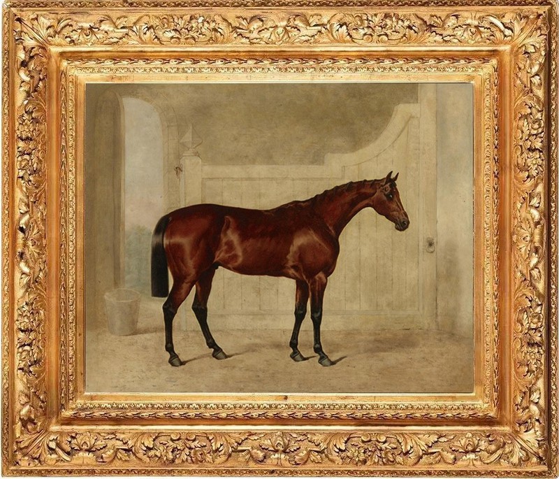 Hand-painted classical animals oil painting art horse on canvas 24″X30″