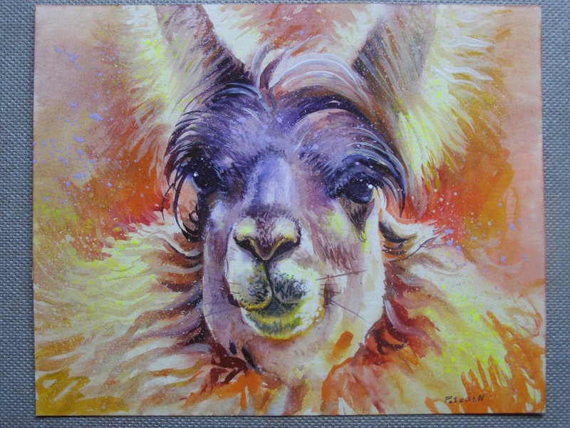 LLAMA Animals Original Watercolor Acrylic Painting Art By Artist