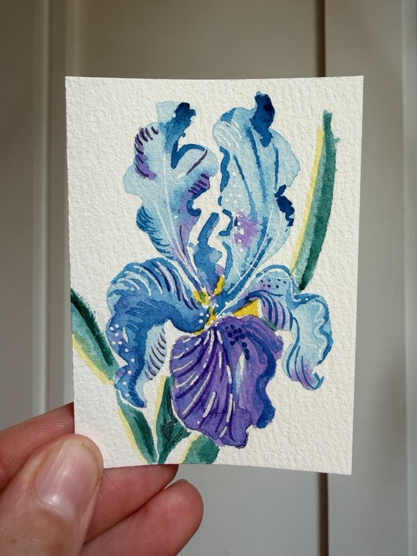 ACEO Original iris flowers, abstract botanical illustration floral 2.5×3.5in